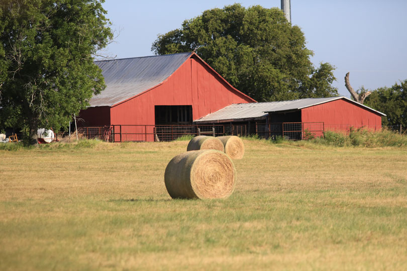Traditional Texas Farm